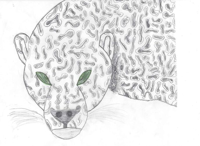 Young at Art - Jonas aus Kirchdorf