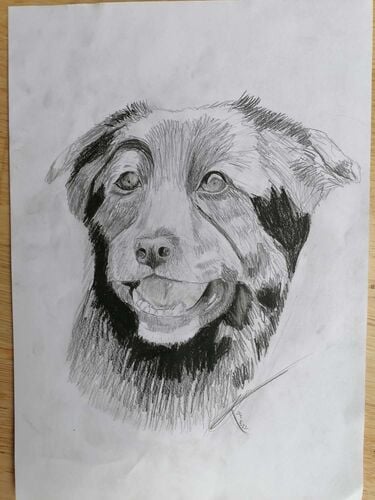 Young at Art - Johanna aus Linz-Land