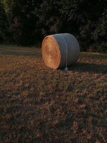 Young at Art - Johanna aus Linz-Land
