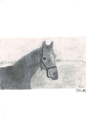 Young at Art - Jana aus Steyr