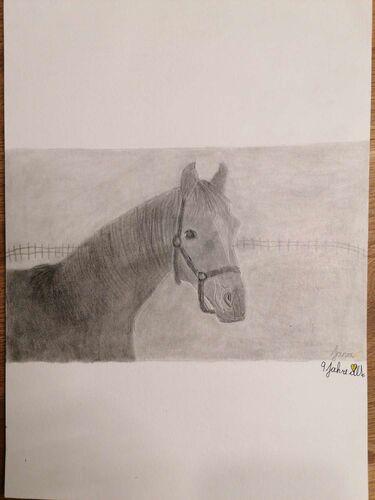 Young at Art - Jana aus Steyr