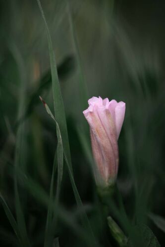 Young at Art - Sara aus Linz-Land