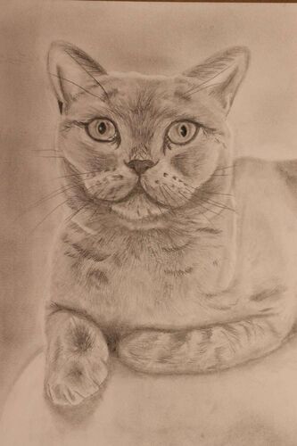 Young at Art - Lilian aus Ried