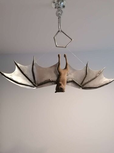 Young at Art - Melanie  aus Freistadt