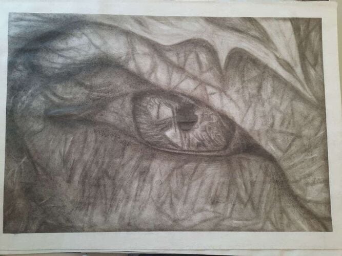 Young at Art - Marisol aus Linz-Land