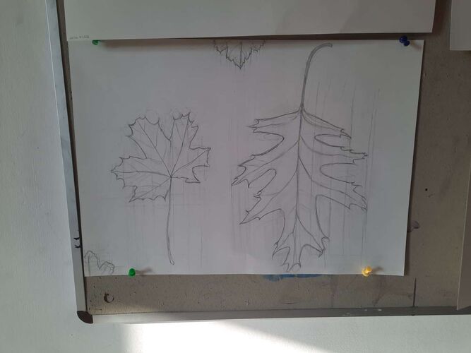 Young at Art - Marisol aus Linz-Land