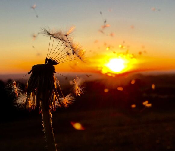 Young at Art - Emma aus Linz