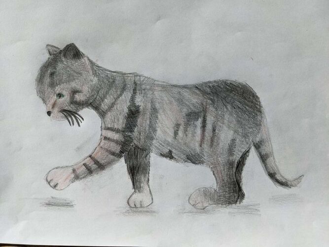 Young at Art - Lucia Katharina aus Ried