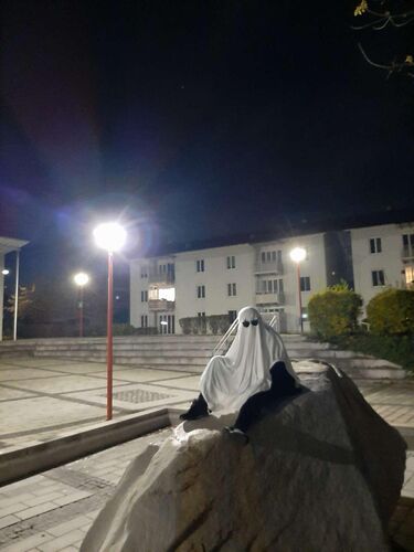 Young at Art - Susanna  aus Perg