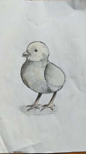 Young at Art - Lucia Katharina aus Ried