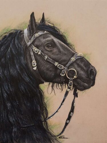 Young at Art - Celina aus Vöcklabruck