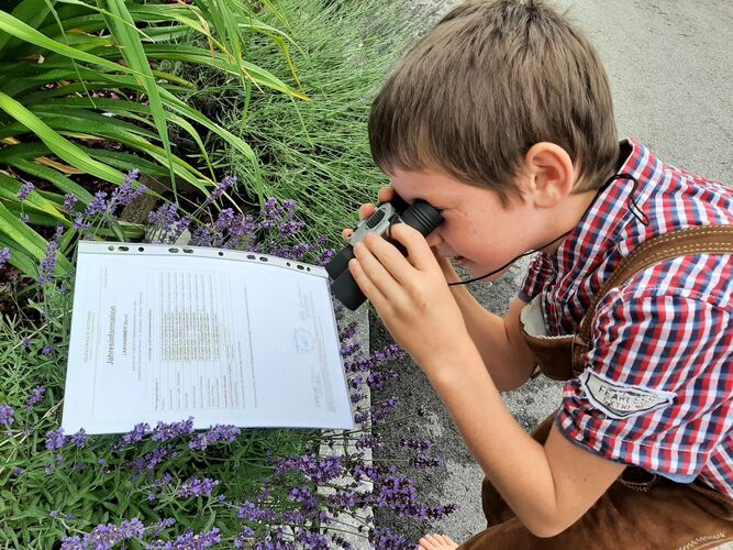 Zeig's Zeignis - David aus Urfahr-Umgebung
