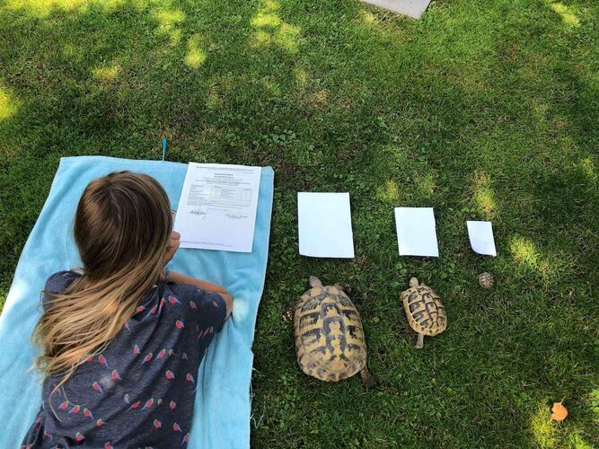 Zeig's Zeignis - Hanna aus Kirchdorf