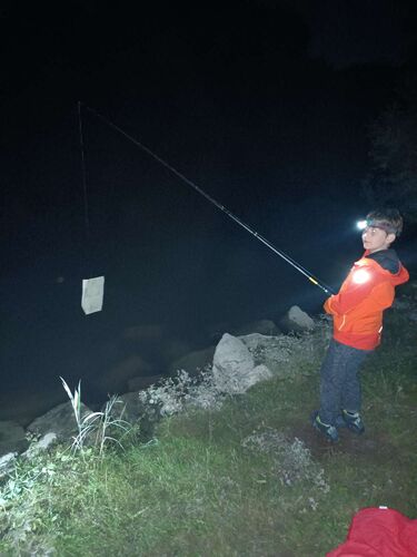 Zeig's Zeignis - Niklas aus Perg