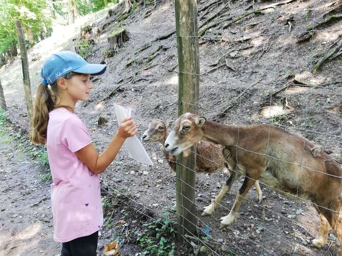 Zeig's Zeignis - Emilia aus Linz-Land