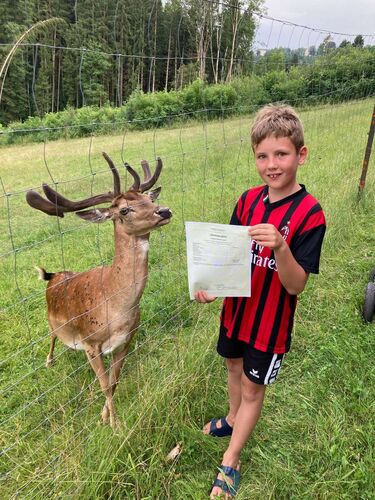 Zeig's Zeignis - Tobias  aus Rohrbach