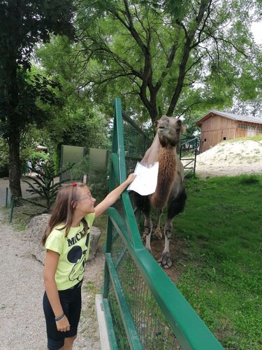 Zeig's Zeignis - Leonie aus Rohrbach
