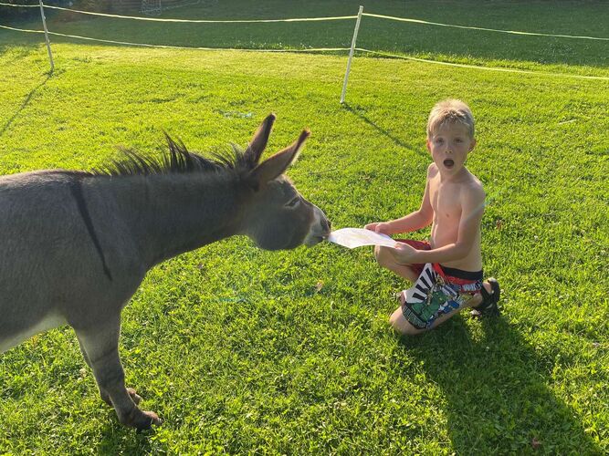 Zeig's Zeignis - Florian aus Vöcklabruck