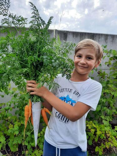 Zeig's Zeignis - Lukas aus Vöcklabruck