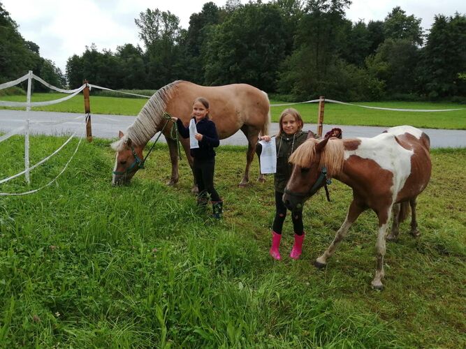 Zeig's Zeignis - Birgit aus Schärding