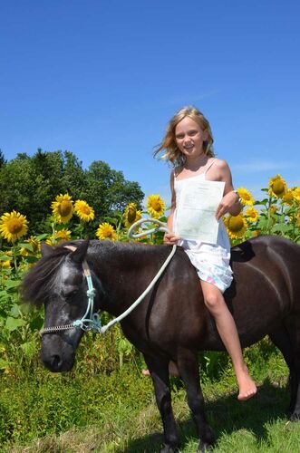 Zeig's Zeignis - Klara aus Ried