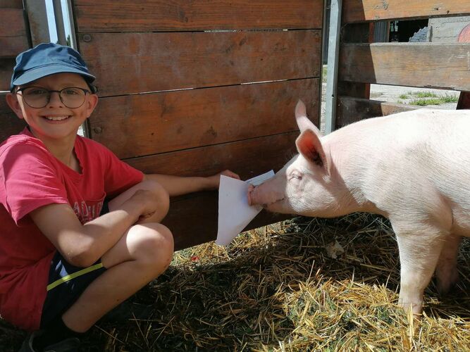 Zeig's Zeignis - Michael Josef aus Freistadt