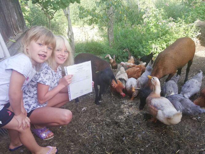 Zeig's Zeignis - Emily  aus Rohrbach