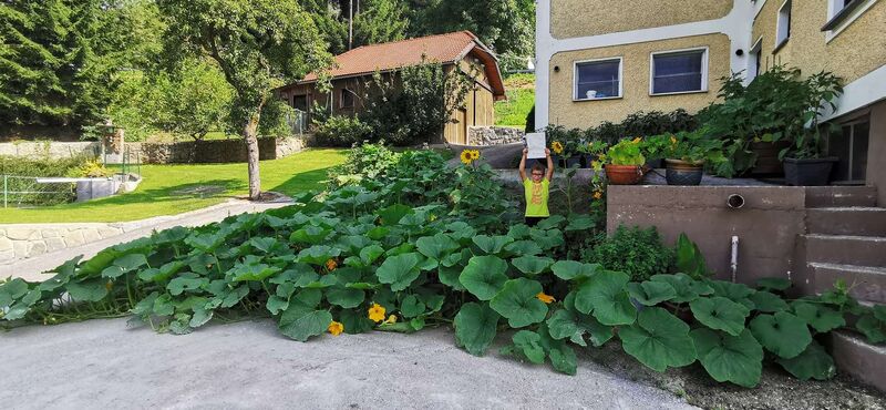 Zeig's Zeignis - Daniel aus Rohrbach