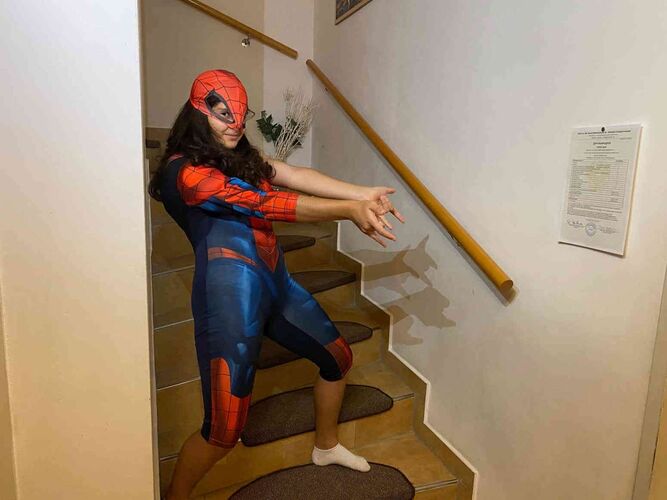 Zeig's Zeignis - Palma aus Ried