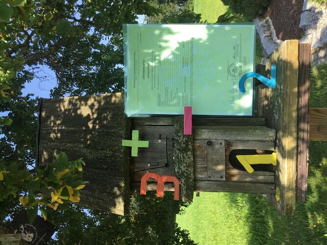 Zeig's Zeignis - Silas aus Schärding