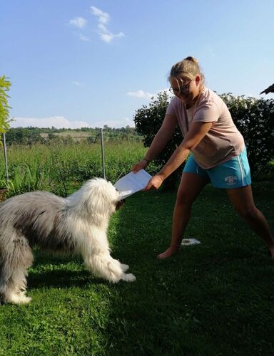 Zeig's Zeignis - Sarah aus Eferding