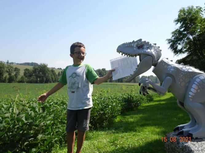 Zeig's Zeignis - Elias aus Eferding