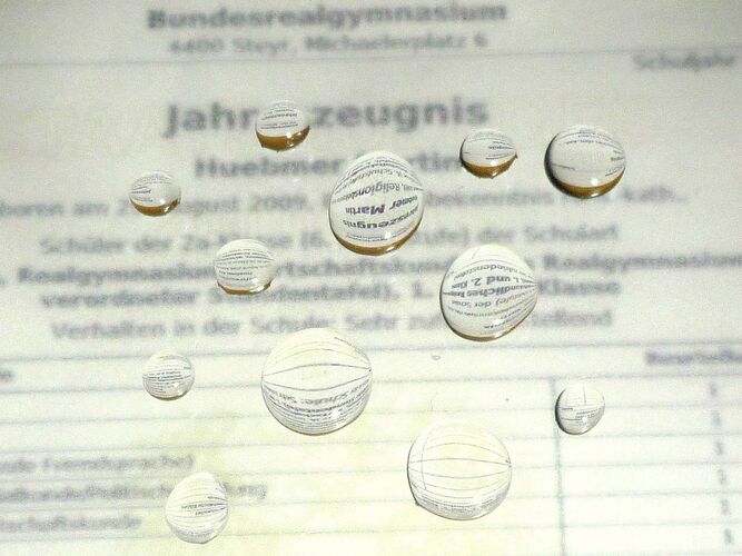 Zeig's Zeignis - Martin aus Steyr