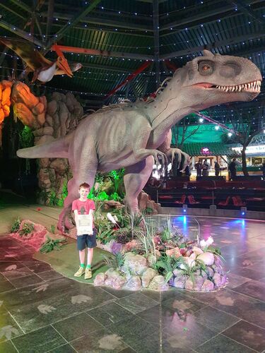 Zeig's Zeignis - Tobias aus Linz