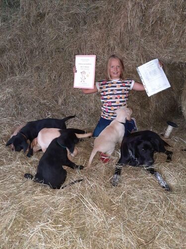 Zeigs Zeignis 2022 - Kristina aus Urfahr-Umgebung