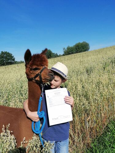 Zeigs Zeignis 2022 - Jannik  aus Freistadt