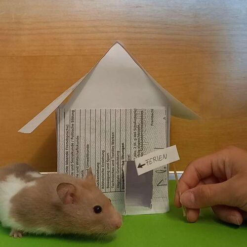 Zeigs Zeignis 2023 - Jana aus Grieskirchen