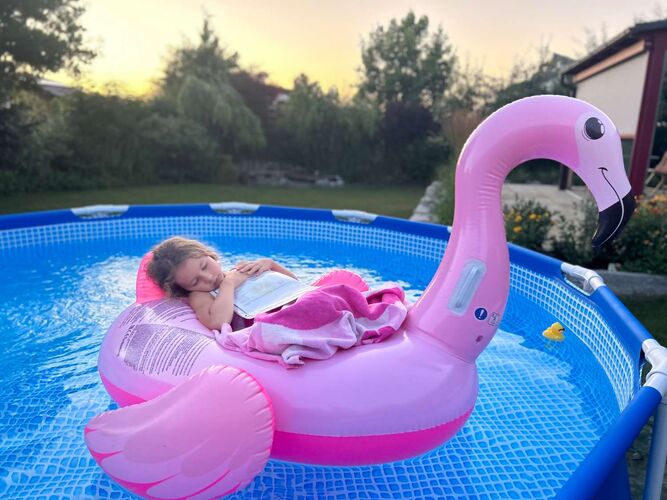 Zeigs Zeignis 2023 - Holly aus Schärding