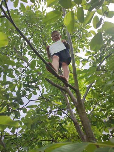 Zeigs Zeignis 2023 - Felix  aus Schärding