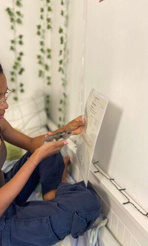 Zeigs Zeignis 2023 - Nora aus Linz