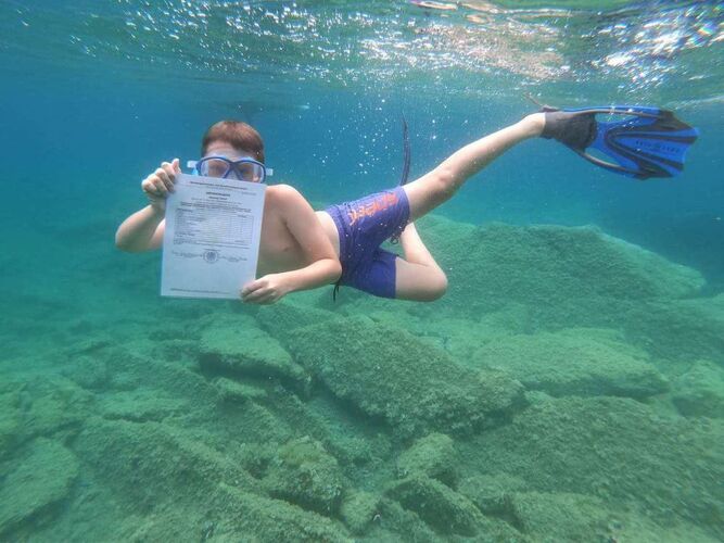 Zeigs Zeignis 2023 - David aus Freistadt