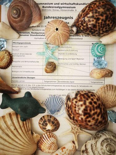 Zeigs Zeignis 2023 - Martha  aus Linz