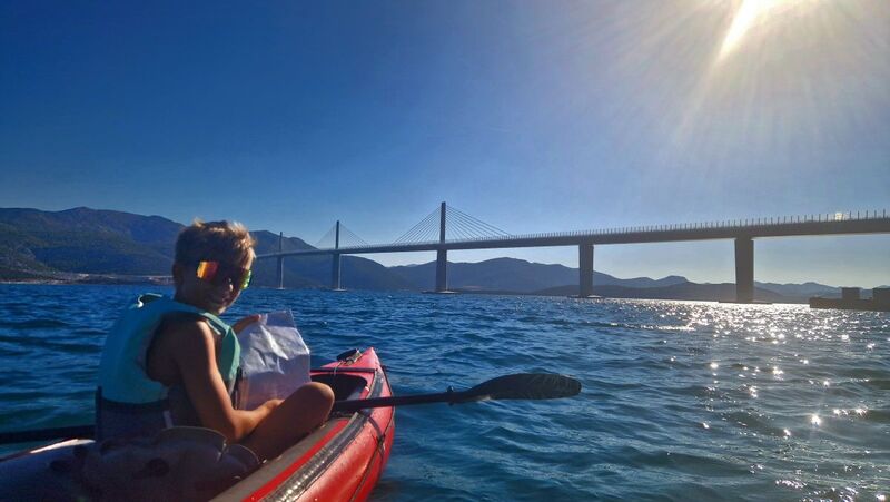 Zeigs Zeignis - David aus Perg