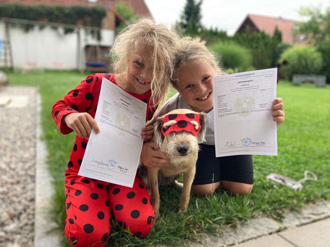 Zeigs Zeignis - Martin aus Kirchdorf