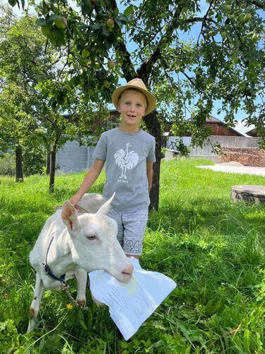 Zeigs Zeignis - Jakob aus Rohrbach