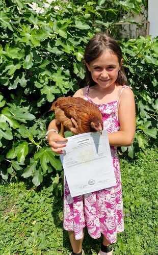 Zeigs Zeignis - Sophie aus Grieskirchen