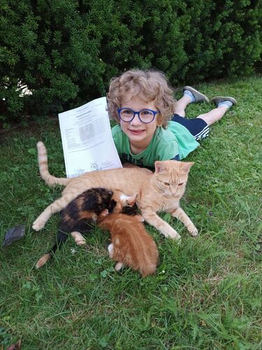 Zeigs Zeignis - Clemens aus Urfahr-Umgebung