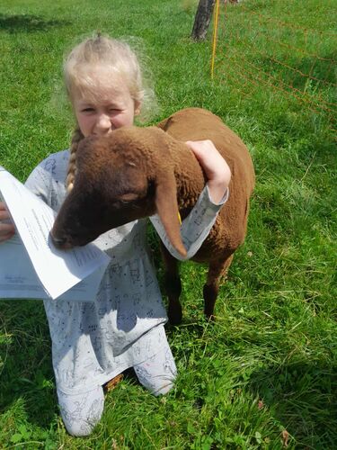 Zeigs Zeignis - Seraphina aus Grieskirchen