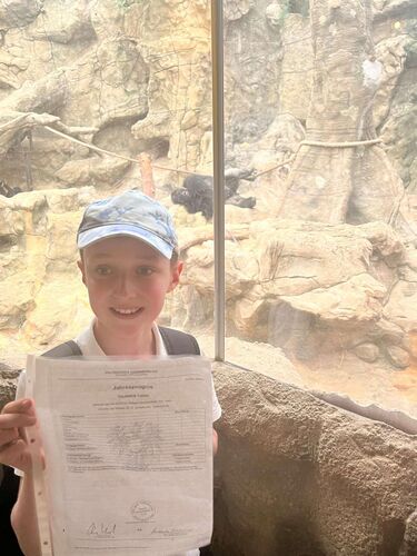 Zeigs Zeignis - Tobias aus Kirchdorf