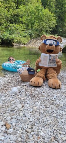 Zeigs Zeignis - Henri aus Gmunden